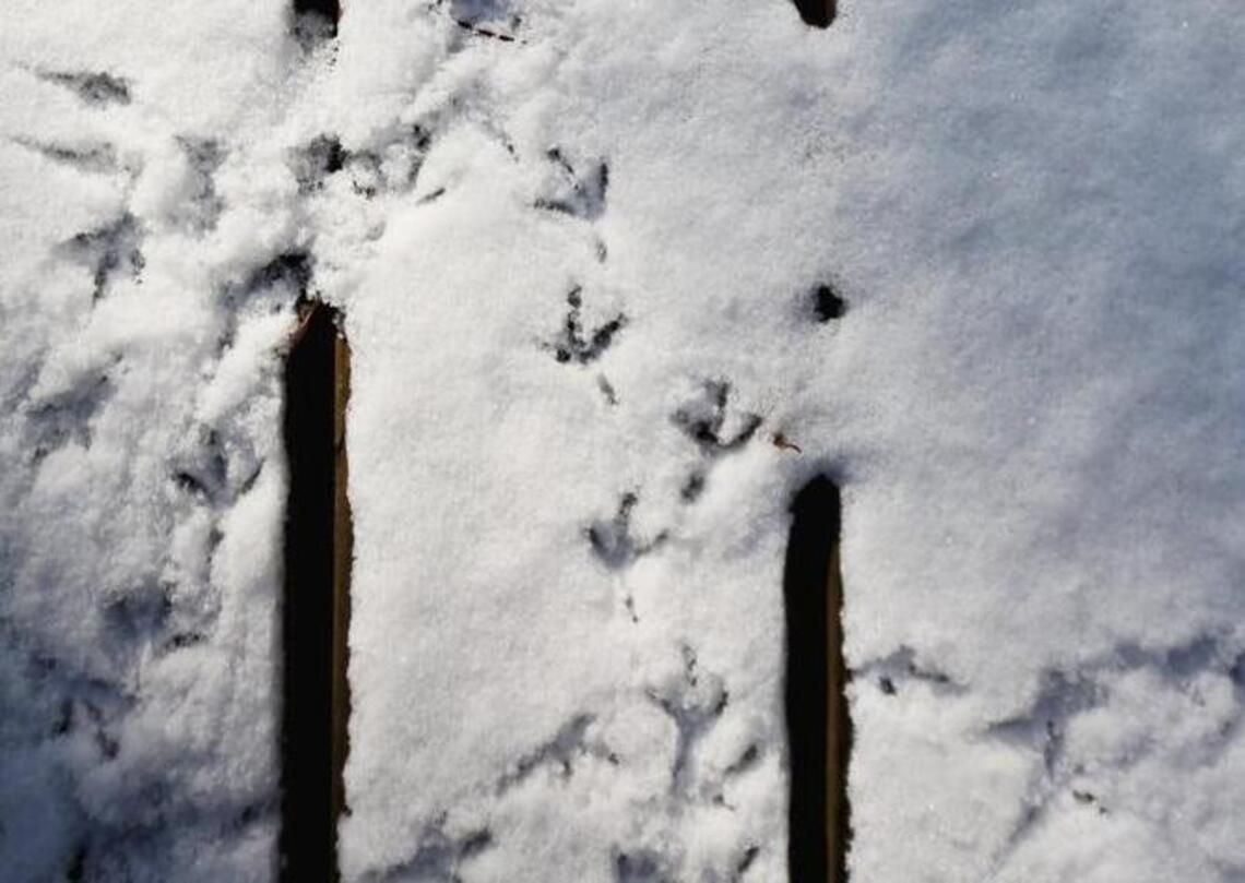 That snowfall is pretty, like a facelift from Mother Nature