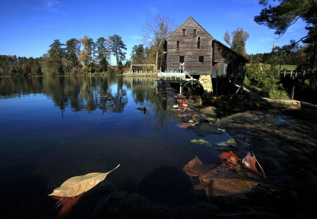 Raleigh’s Historic Yates Mill County Park is one of several area parks participating in the Great Backyard Bird Count. Its “Breakfast with the Birds” event starts at 9 a.m. Saturday.