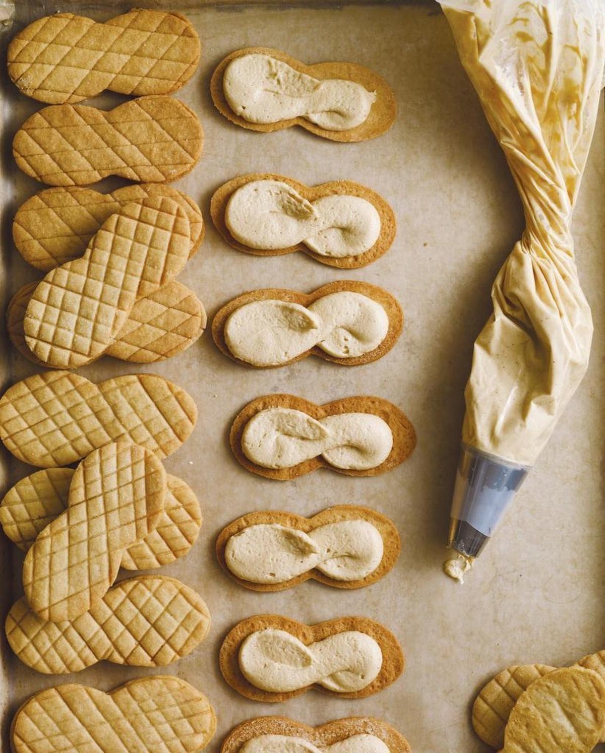 Homemade Nutter Butter Cookies from “BraveTart.”