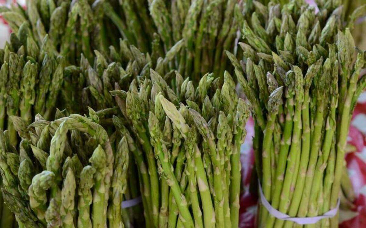 
Freshly picked asparagus is so different from canned that it’s like a different vegetable. 
