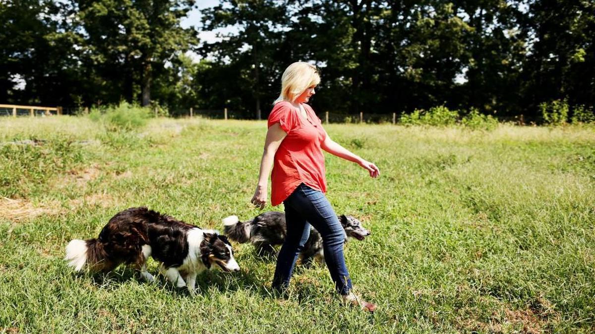 Jamie DeMent walks out to her late summer garden with her dogs, Frida and Boone, Wednesday, Aug. 23, 2017. DeMent, who recently released her cookbook, “The Farmhouse Chef: Recipes and Stories from My Carolina Farm,” farms and cooks at her farm, Coon Rock Farm, in Hillsborough, NC.