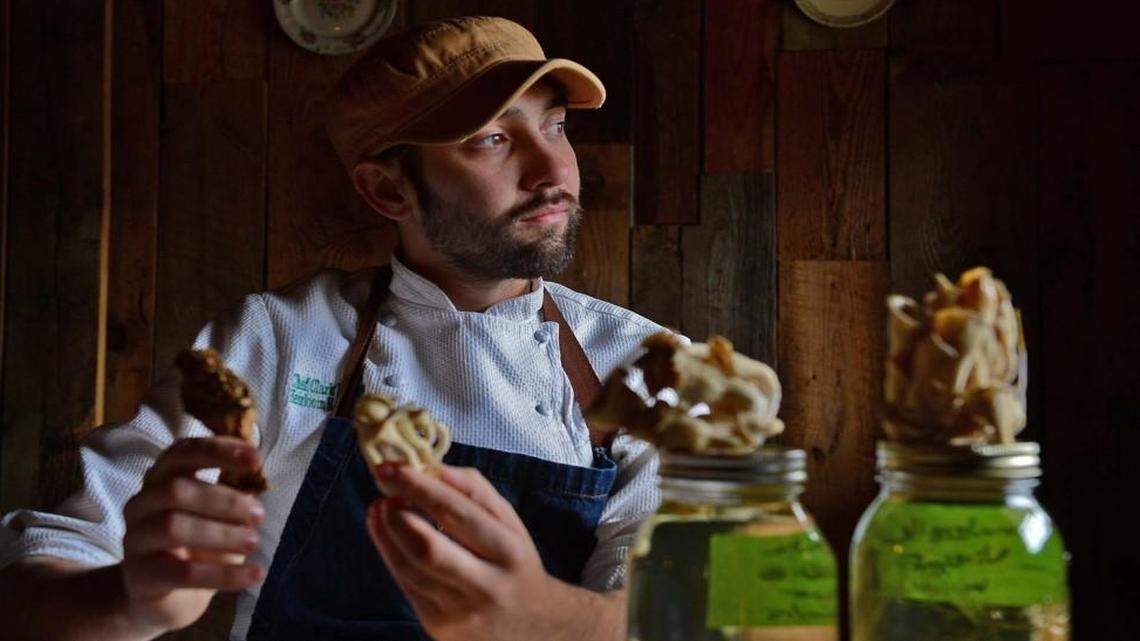 Chef Clark Barlowe serves wild mushrooms at his Charlotte restaurant, Heirloom. Interest in wild mushrooms is growing, part of the trend toward locally grown ingredients. In addition to buying mushrooms raised on a farm, Barlowe likes to forage for them in the woods.