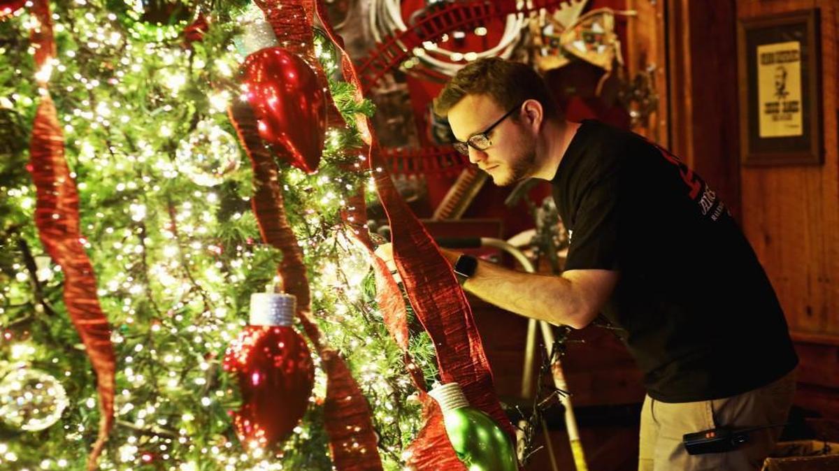Derrick Palecek adds the last of the lights to the giant tree in the gun room known as the “train tree” at Angus Barn in Raleigh on Wednesday, Nov. 23, 2016.