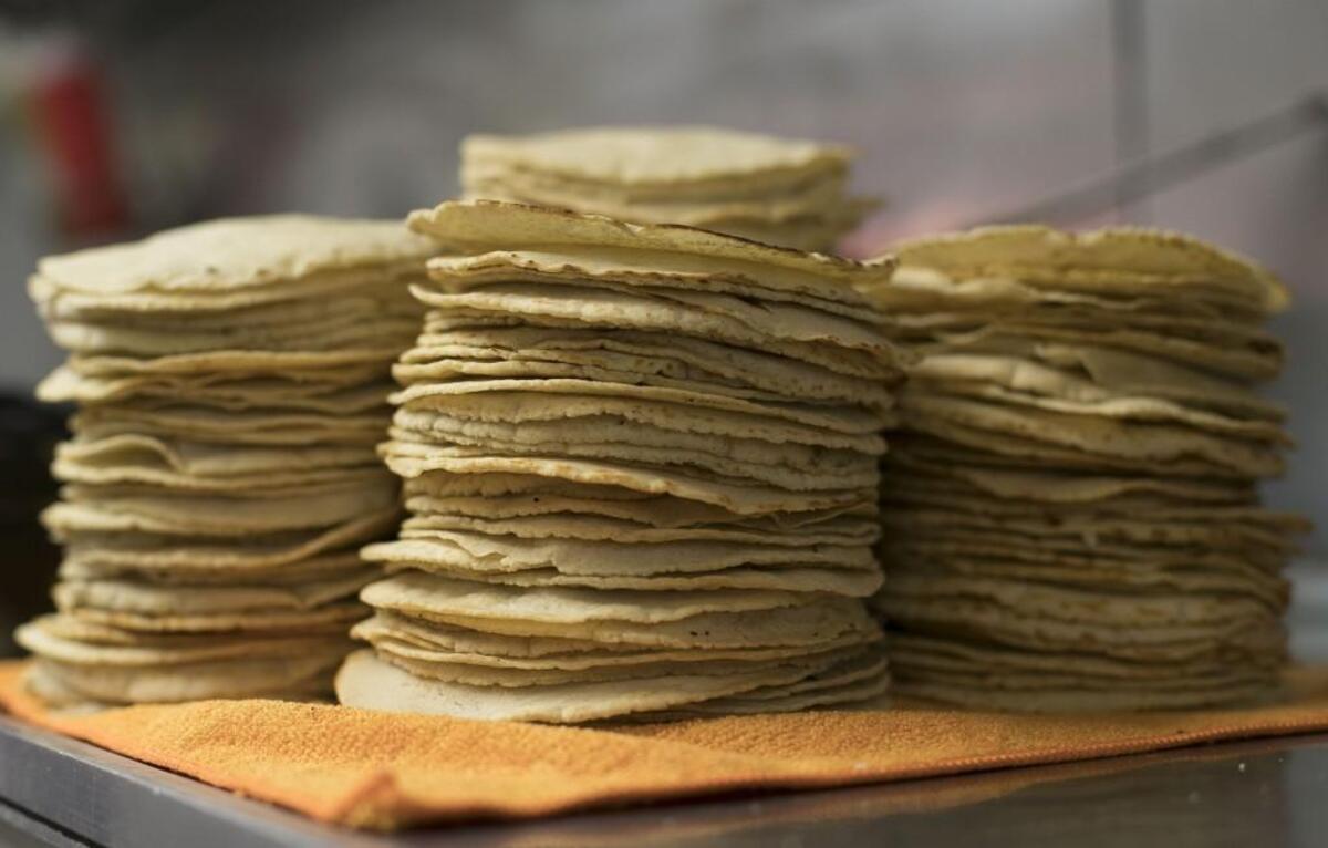 Tortillas are made from scratch daily at Crazy Tacos on S. 5th Avenue in Smithfield, N.C.