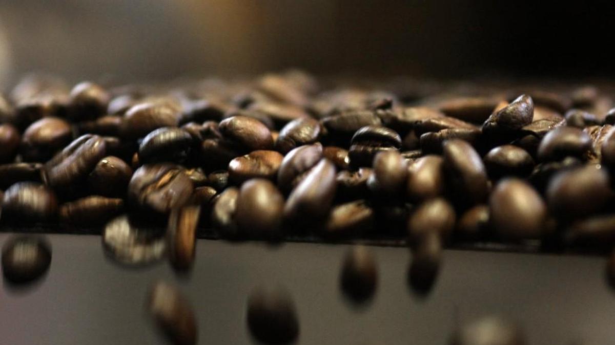 Meet Oscar Omar Alonzo, a coffee farmer from Honduras, at Larry’s Coffee, 1507 Gavin St., Raleigh, Thursday, June 29, from 6 to 8 p.m. Experience the coffee journey from plant to cup. A master farmer, master roaster and coffee scientist will tell the story of the coffee journey. There will be coffee, beer and finger foods. Cost is $5. 919-696-5942