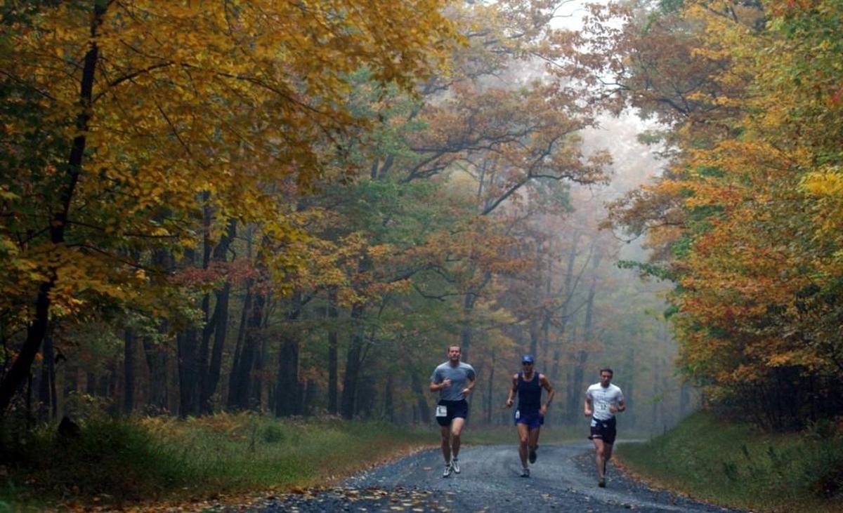 Warm summer weather is wonderful – until you’re huffing and puffing 30 seconds into your run. Cooler temperatures let you enjoy your exercise without the excess sweat that balmy weather brings; enjoy it before snowy treadmill season strikes.