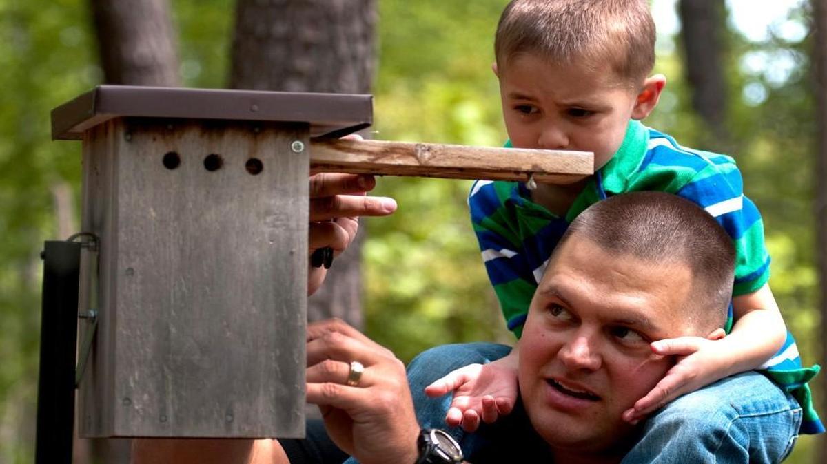 Having been an avid birder for five decades, Larry Zoller says a bird box is a good entry point to the world he loves. If you have a bird nesting in your box, he posits, you’ll learn more about it.