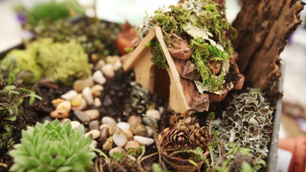 Learn how to create a fairy garden at upcoming classes in Cary and Fuquay-Varina.