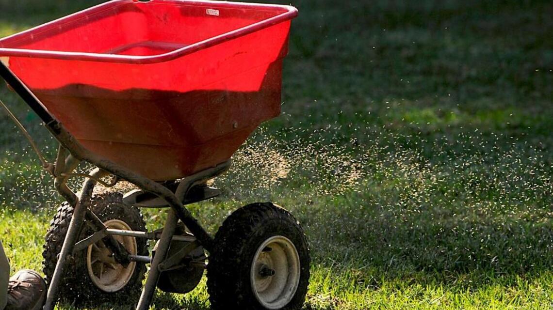 How to help your lawns and landscapes survive North Carolina’s drought