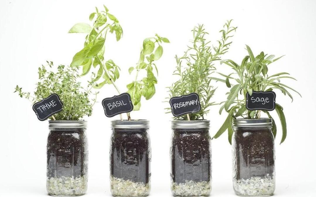 Learn to create your own window sill herb garden at The Scrap Exchange in Durham.