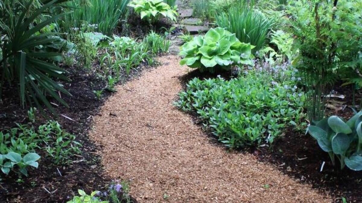 Visit Juniper Level Botanic Garden Winter Open Nursery and Garden Days Feb. 24-26 and March 3-5.