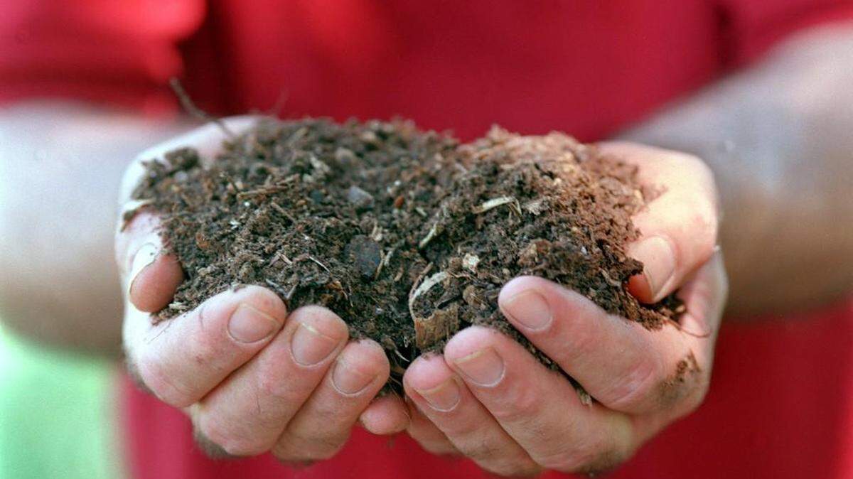 Good soil includes lots of compost to loosen the texture, keep it from remaining soggy and add important nutrients.