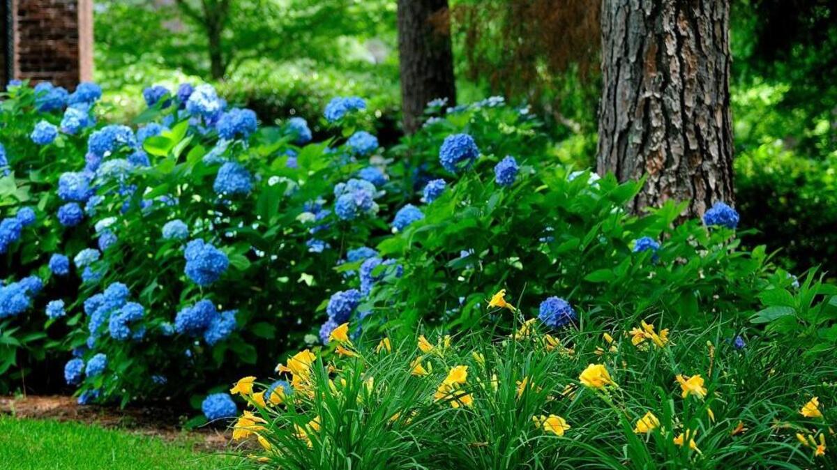 Send us your questions for our monthly Ask the Gardener column.
