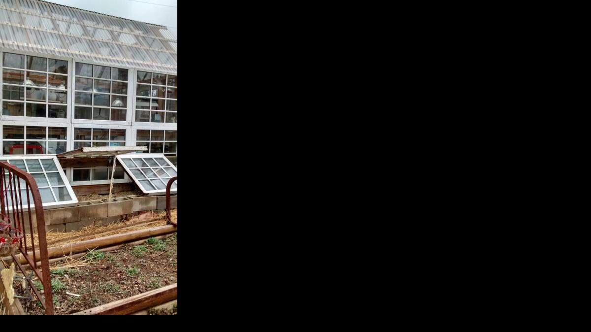 
This bedroom-sized greenhouse is made of old windows at Stephanie Fay and Tom Aldrich’s Pittsboro home.
