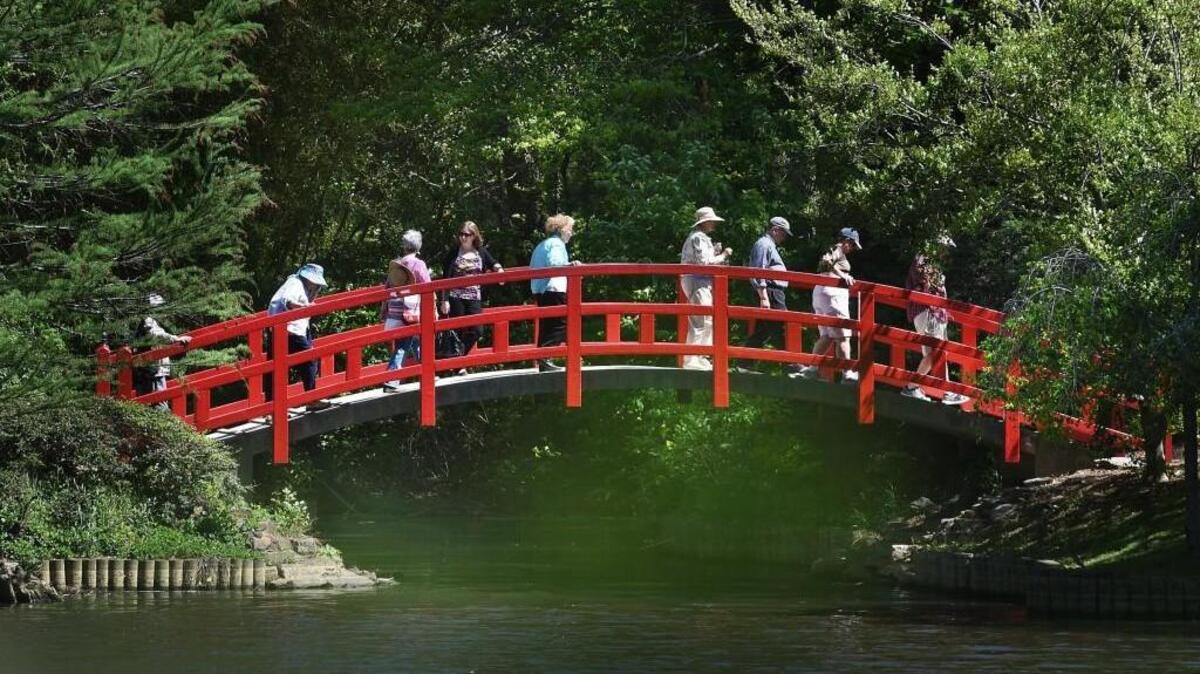 Staff at Durham’s Sarah P. Duke Gardens offer a seasonal walk through the Blomquist Garden of Native Plants on the first Thursday of every month.
