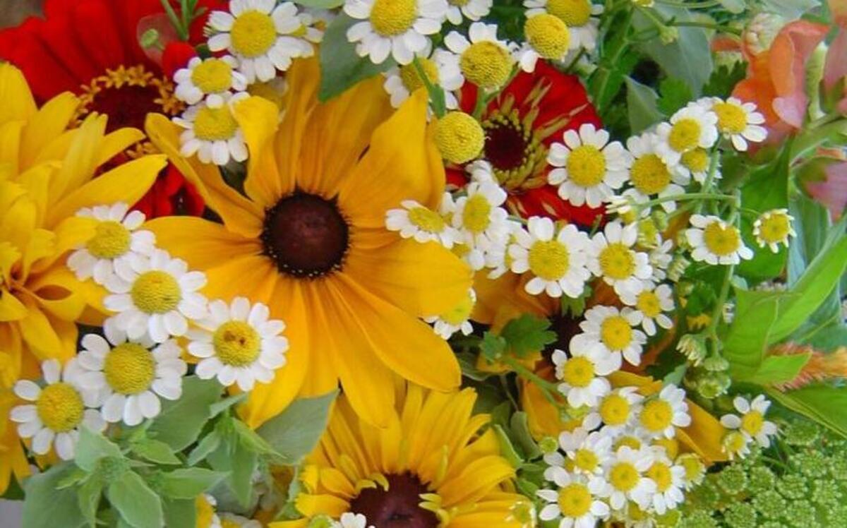 Free. Garden Supply Company is offering a class on planting a bouquet garden on Oct. 1.