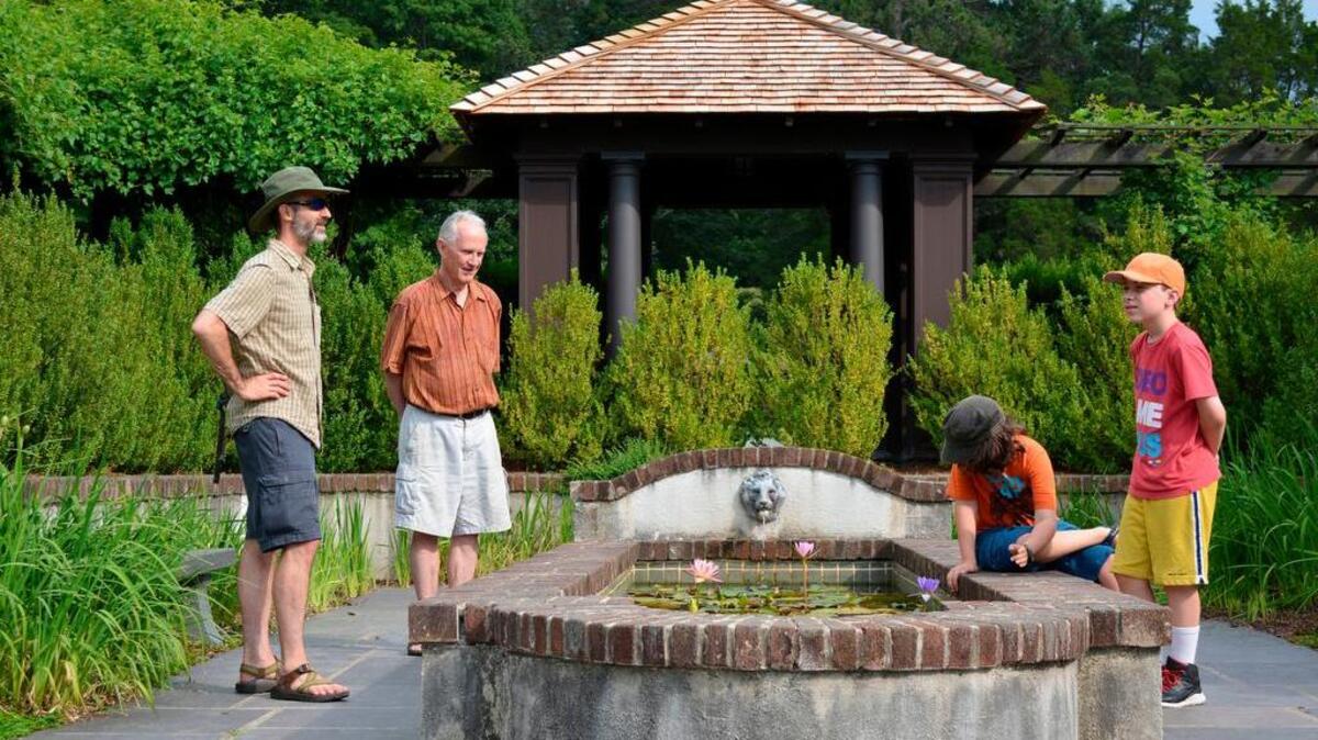 Joe Olson, left, Clifton Matthews, second from left, Alex Olson, second from right, and Clif Brown, right, pause at a lily pond in the Reynolda Gardens in Winston-Salem, N.C. on Sunday, July 13, 2014.
