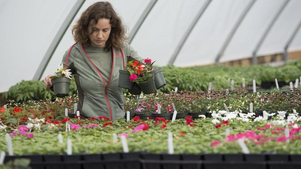 There are lots of plant sales and gardening workshops on the April-May calendar.