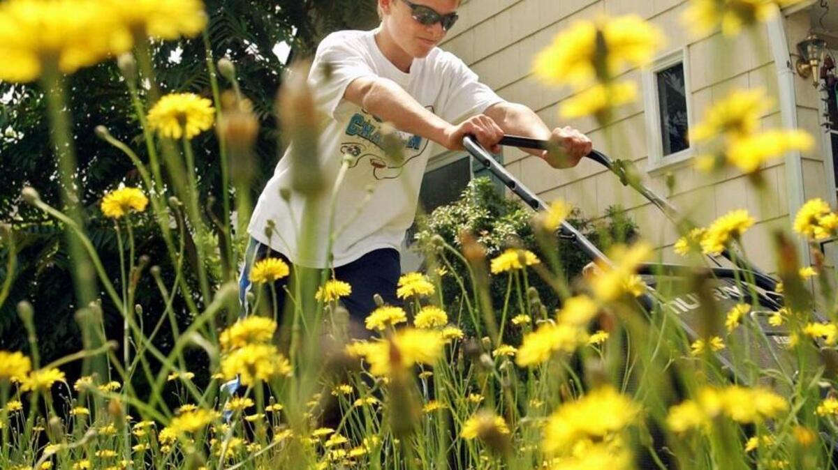 How can you have an attractive garden without using pesticides, chemical fertilizers and other substances that alter the biological balance of nature?