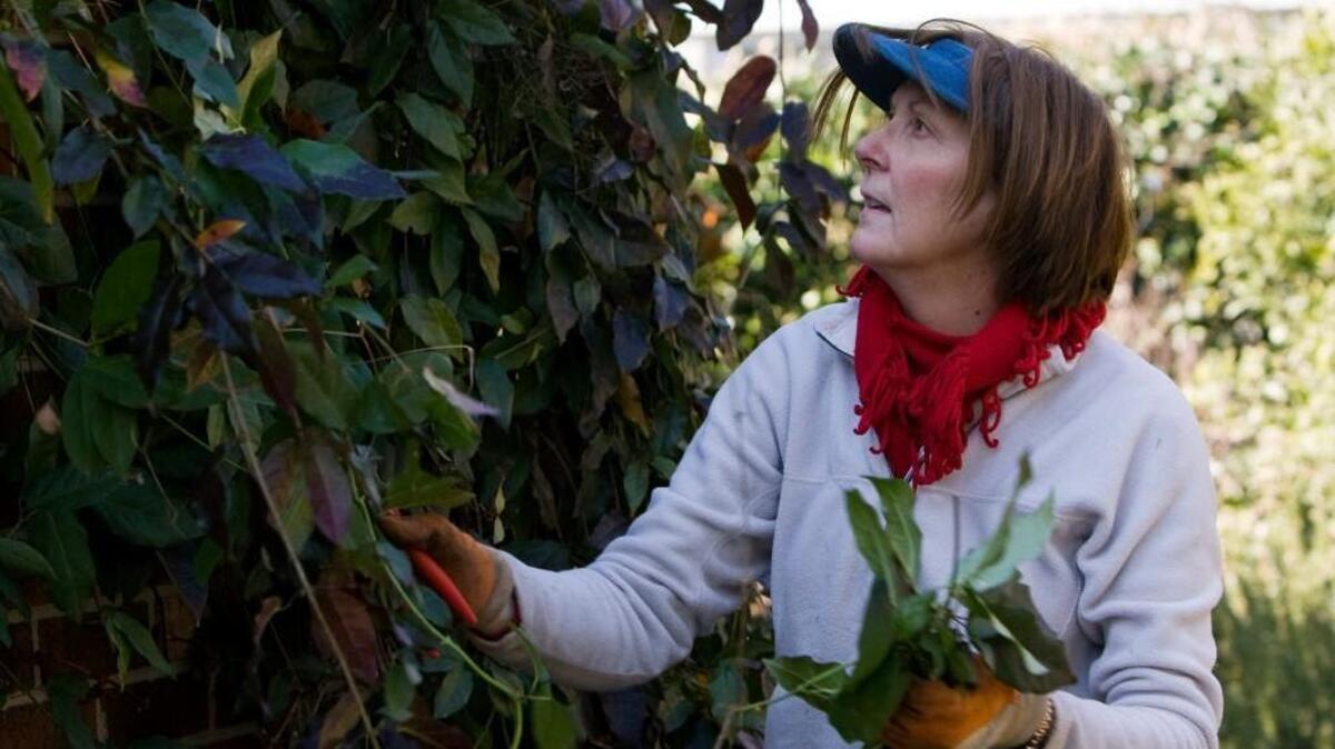 Raleigh gardening expert Helen Yoest will be teaching a class on Oct. 31 at Garden Supply Co. in Cary.