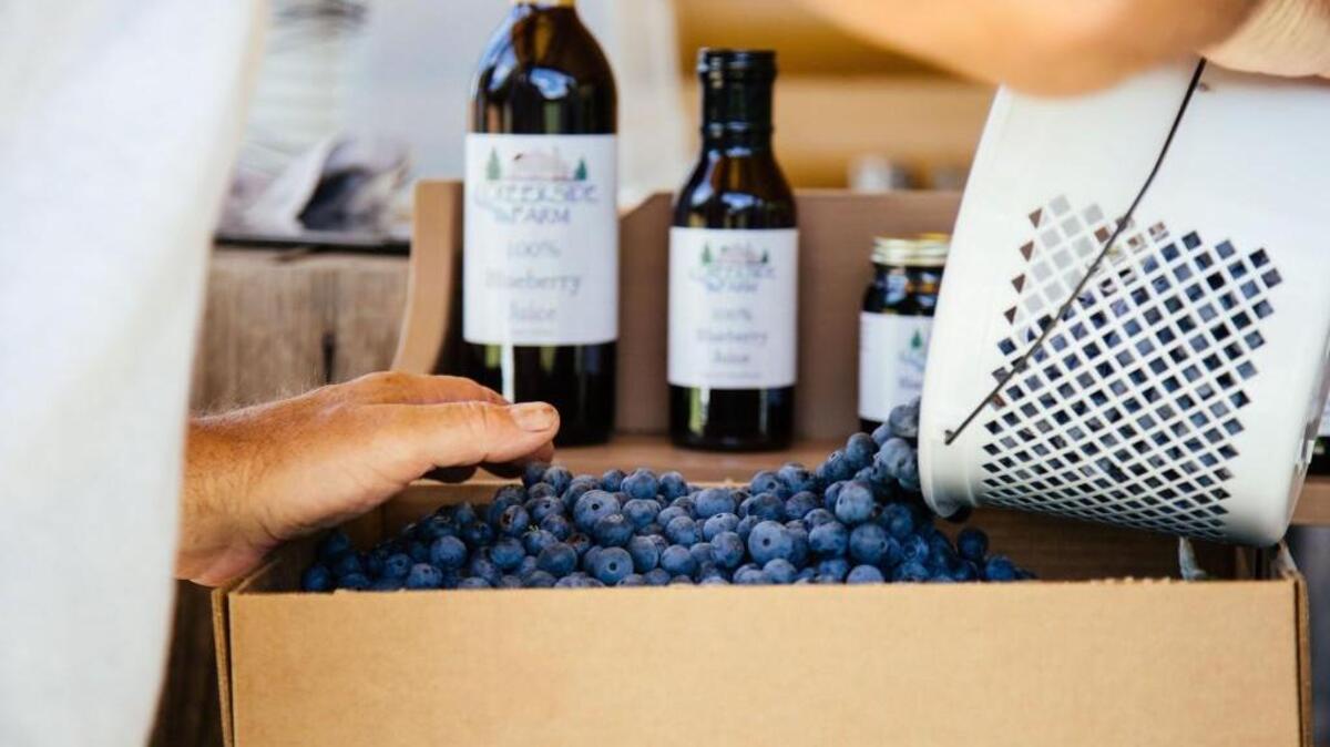 Blueberry Day takes place Thursday, June 15, at the North Carolina State Farmers Market in Raleigh, with free dessert samples from 11 a.m. to 1 p.m.