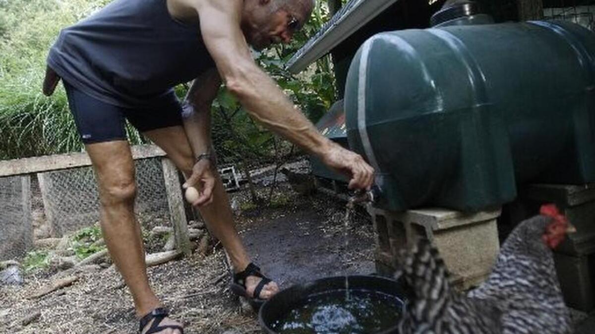 
N.C. State University professor Will Hooker demonstrates how to use the rain barrel outside his Raleigh home. Wake County is offering a class on making your own rain barrel on Aug. 26. 
