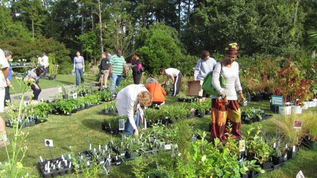 
Gardeners peruse plants at Sarah P. Duke Gardens’ plant sale, which will be for Sept. 26
