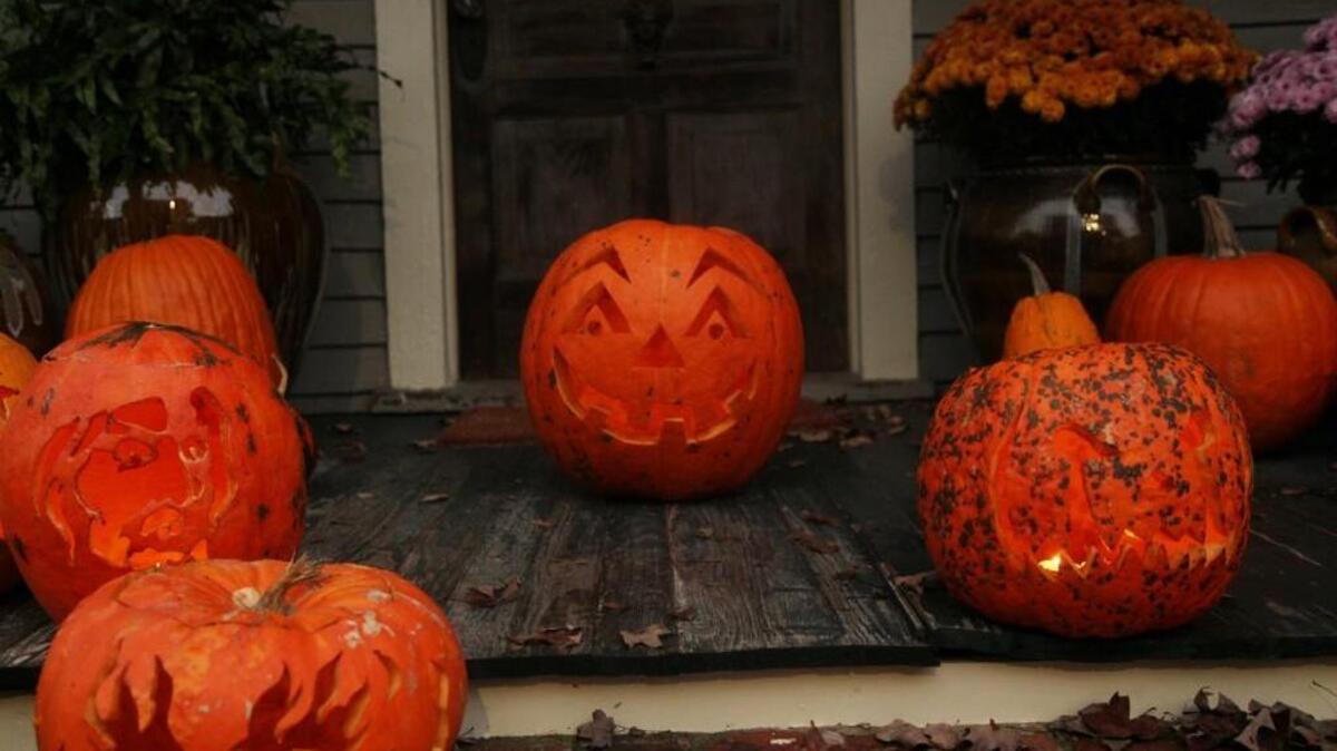 Rusty Taylor and his partner, Danny Williamson, carve 50-55 pumpkins annually on Halloween.