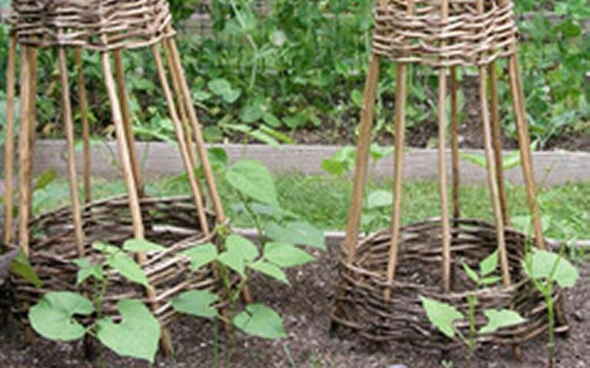 Trellises made of bamboo are in a garden designed by Ellen Ecker Ogden. Horizontal bands of woven flexible twigs are decorative, stabilize the structures and provide a ladder for plants to climb.