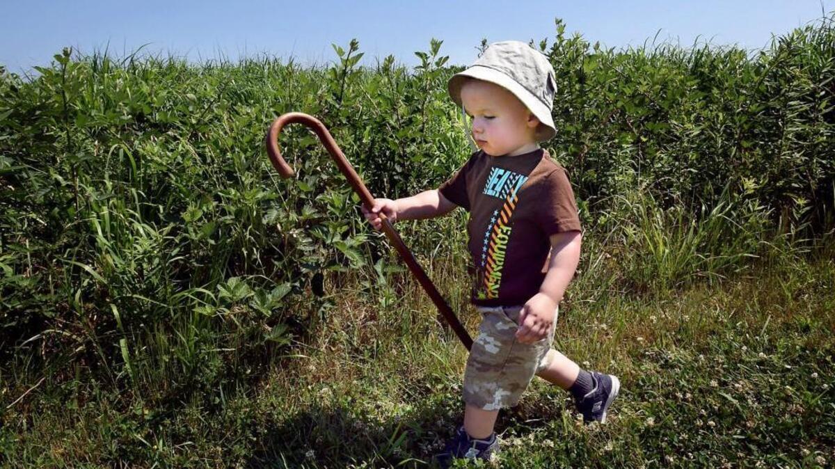 Parenting expert Richard Louve steps in to help families who think their children may be missing out on outdoor time by encouraging parents to get kids unplugged and out of the house into nature - through camping, hiking, exploring earth and bio sciences and other activities.