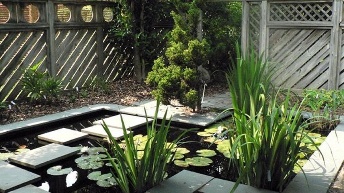 Guided tours are offered at 2 p.m. Sundays at the JC Raulston Arboretum.