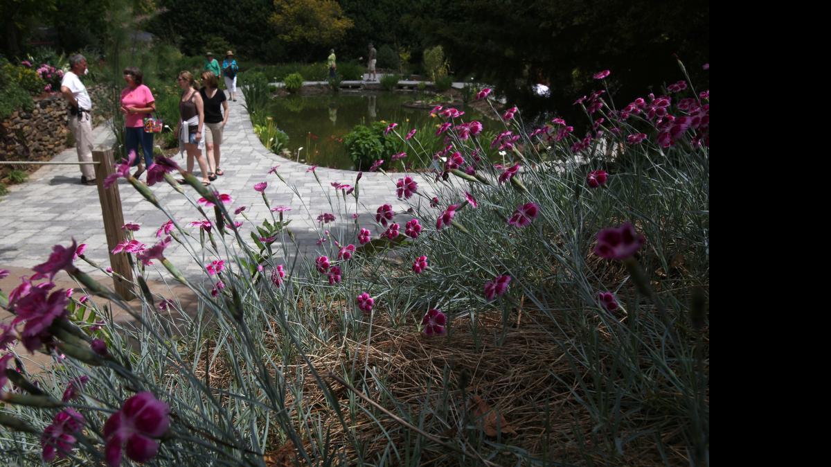 
Tony Avent talks with visitors at his Plant Delights Nursery, which is having an open house July 17-19. 
