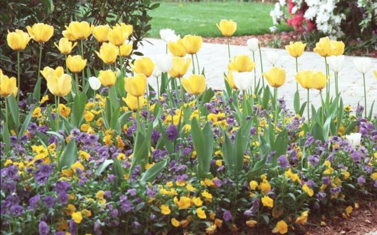 Is it spring yet? Not hardly, but a tour of Web sites will have you in the mood for it.