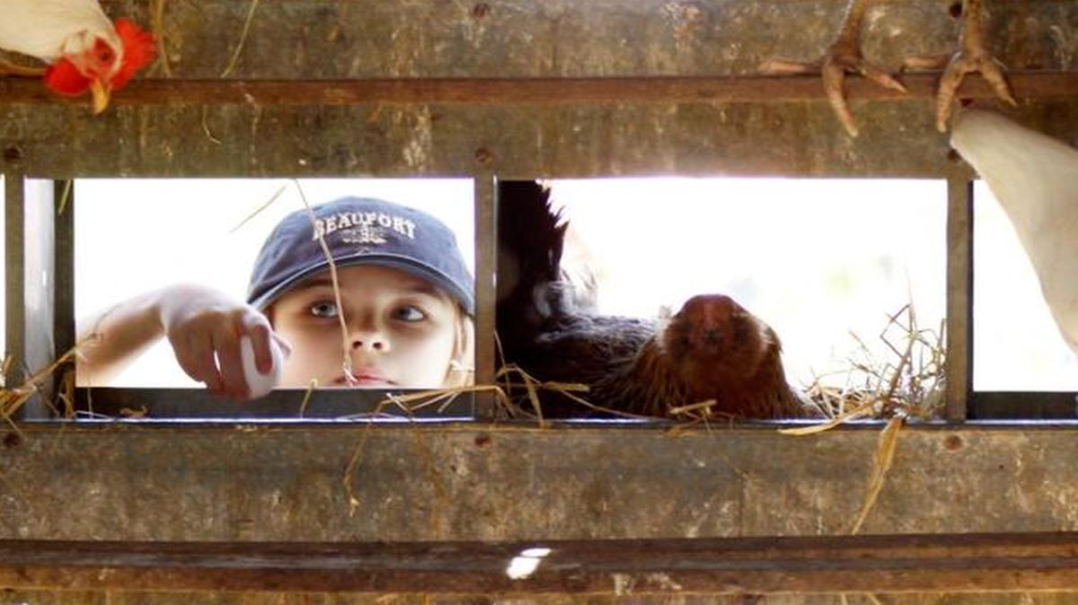 With 35 farms on the Carolina Farm Stewardship Association’s Piedmont Farm Tour, April 22-23, it can take a little homework to know which ones to visit. We’re here to help.