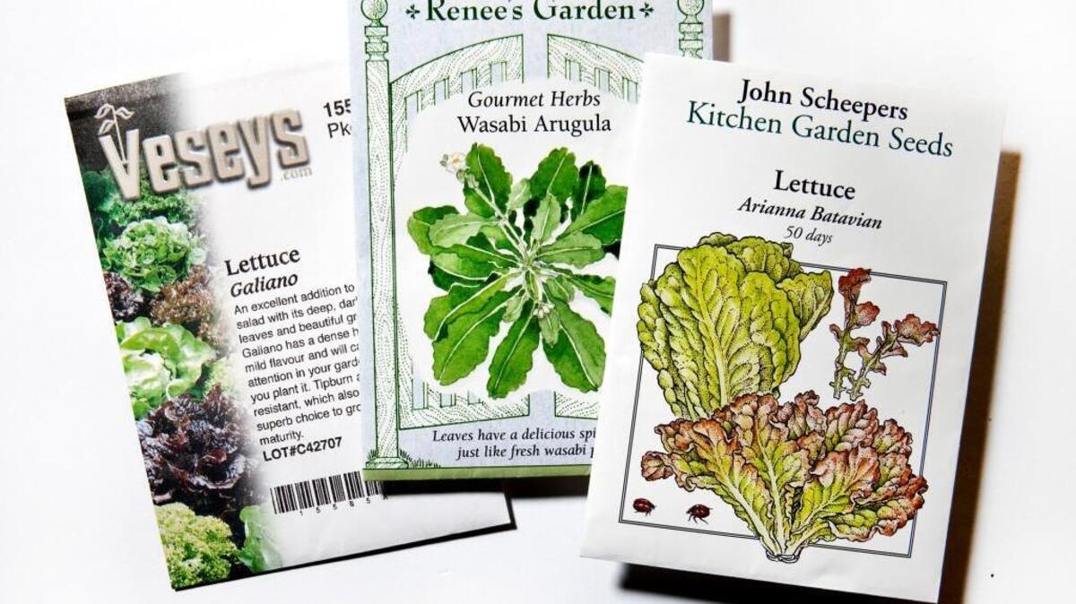 Children’s seed starting class on Feb. 27 at Logan Trading Co. in Raleigh.