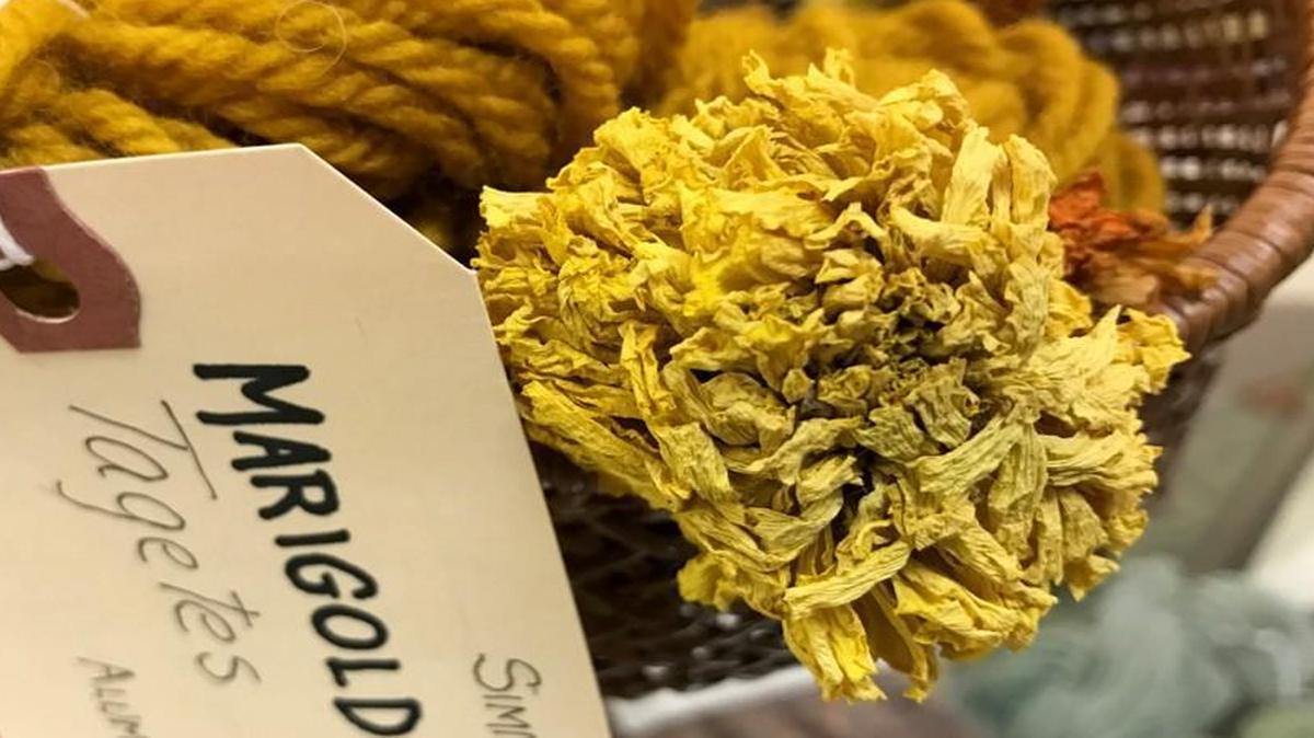 Marigolds are just one of many flowers that can be used to create dyes for beautiful natural yarns.