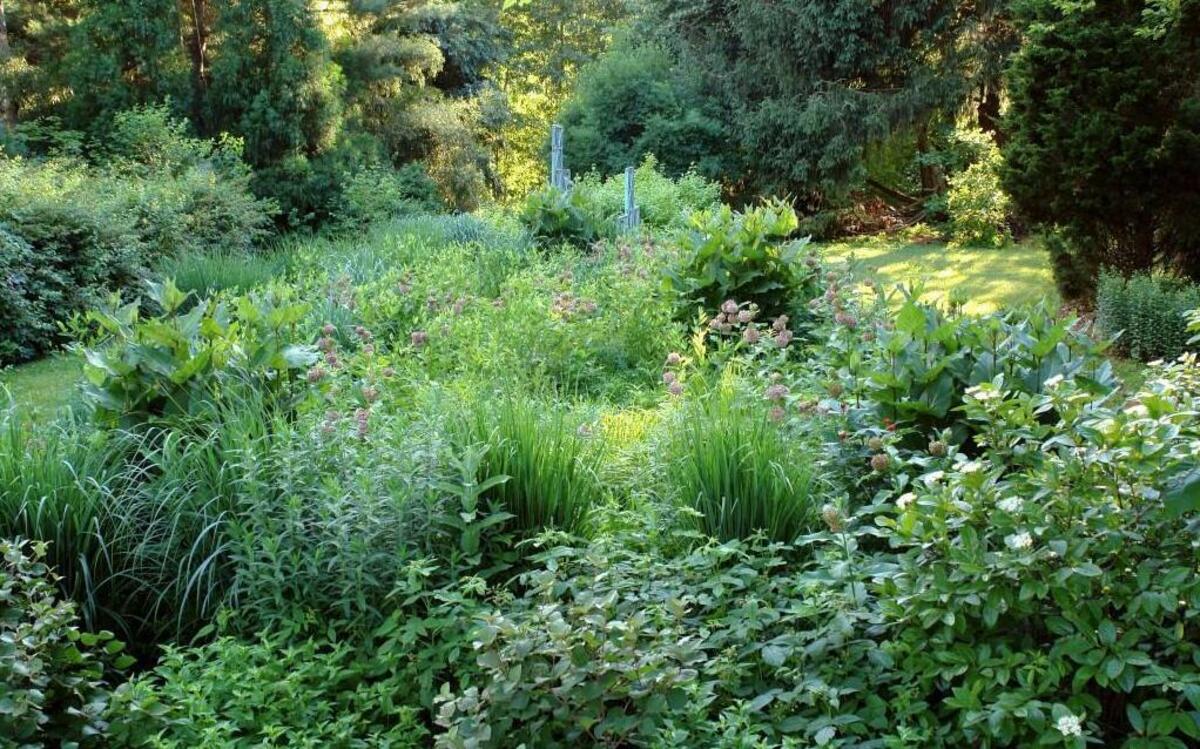 
An example of a small meadow garden with native grasses from "The Living Landscape."
