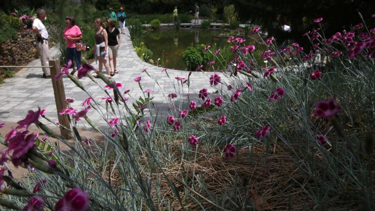 
Wake County’s Plant Delights Nursery, home to well-known horticulturist Tony Avent, is having the second weekend of its fall open house Sept. 18-20.
