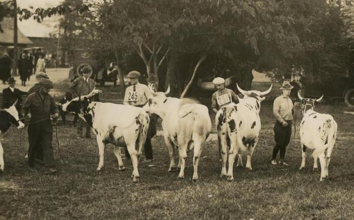 Sandhills Fair at Pinehurst was strictly agricultural
