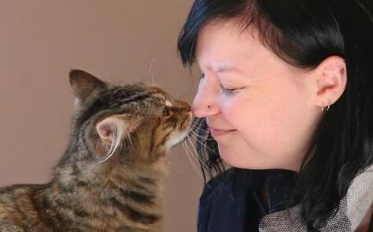 There are five broad feline personality dimensions and three of the “Feline Five” correspond to those in humans. Friendliness is one of the five and is akin to agreeableness in people. Highly friendly cats tend to be affectionate.