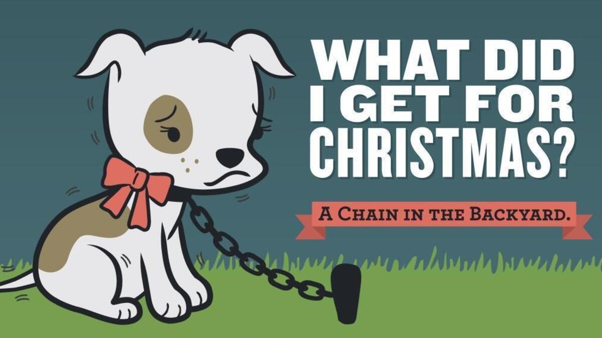 A print PSA by PETA urging people to not give animals as pets for the 2018 holiday season.