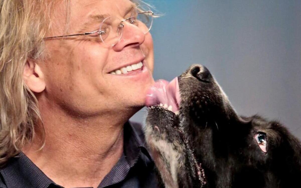 In this Monday, May 2, 2016 photo, George, a once neglected and homeless 140-pound Newfoundland Landseer, licks his owner, Colin Campbell, during an interview in New York. Campbell is on a nationwide promotional tour for his new book, "Free Days with George."