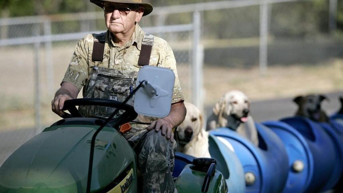 
Eugene Bostick drives eight dogs around the neighbourhood on his homemade train Thursday morning Sept. 24, 2015 in Fort Worth, Texas. Bostick drives the dogs around the 12 acre property about 2-3 times a week. 
