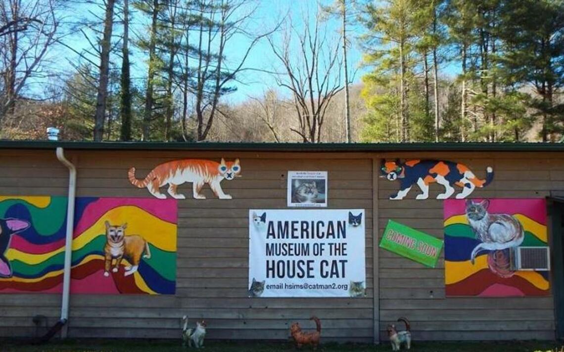 A museum devoted to house cats? It just opened in North Carolina