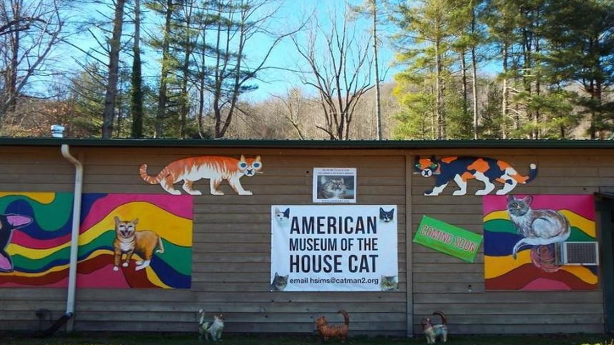 The American Museum of the House Cat has opened in North Carolina, proving that we as a nation have not yet run out of ideas for quirky roadside attractions. And quirky is the word. Among the 10,000 artifacts included is a petrified cat pulled from a 16th century English chimney, its last meow frozen in time.
