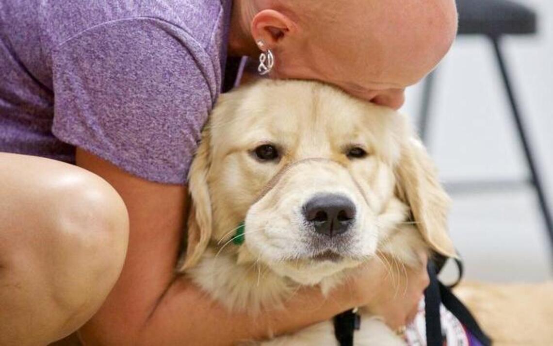Service dog group trains people and their pups together