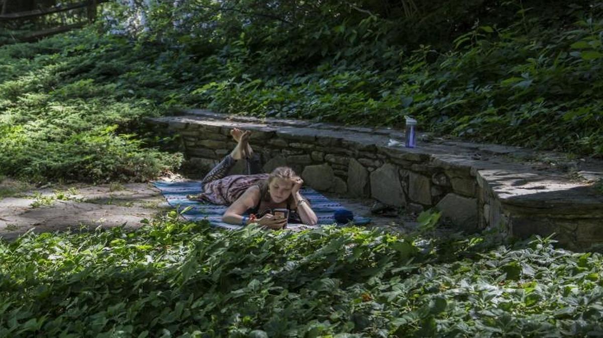 The Botanical Gardens at Asheville has hundreds of native plants, wildlife habitats and plenty of places for visitors relax.