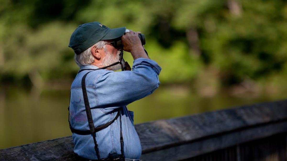 Phillip Doerr watches for birds through his binoculars Tuesday, May 24, 2016 at Yates Mill Park in Raleigh, N.C.