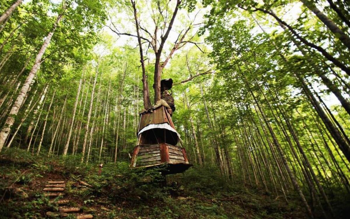 
The Nest is a whimsical treehouse built in the woods at the Good Egg Permaculture Resort in Hot Springs, N.C. The permaculture homestead is located on 30 acres with a barn and cabin for rental. We enjoyed exploring the grounds and sleeping in a barn but the highlight was truly the treehouse. Find them online at facebook.com/GoodEggResort
