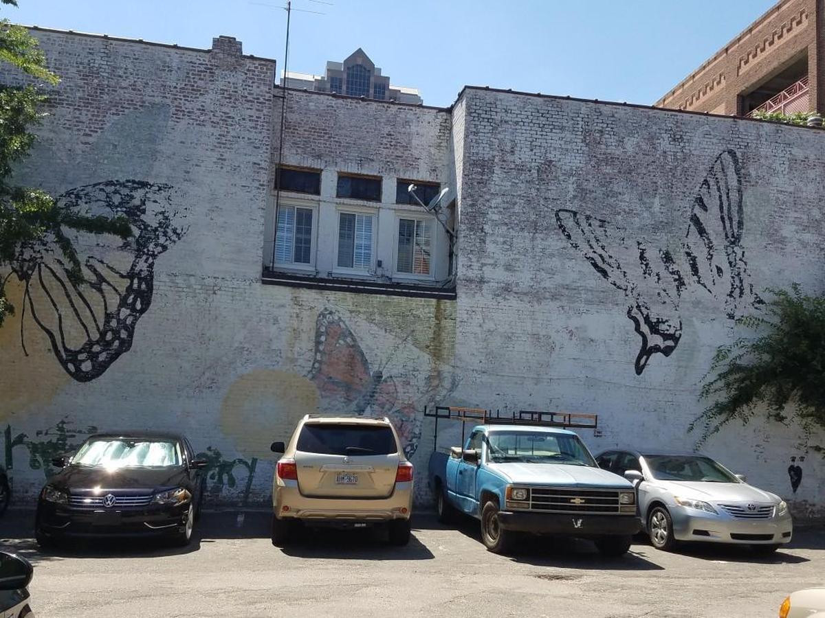Butterflies at the Remedy Diner, 137 E. Hargett St.